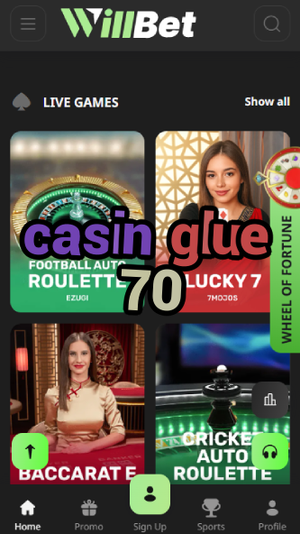 Casin Glue 70 - Strong Bond Casino Experience-www.bdqngd.com